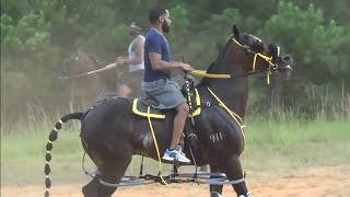 Racing Standardbred Horses at quotThe Orchard Parkquot Race Track [upl. by Margareta353]