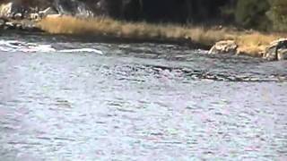 boothbay harbor maine upper hells gate [upl. by Anahoj790]