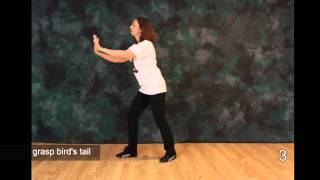 Tai Chi  The First Moves 1 2 3  Free Tai Chi Online Lessons [upl. by Darby]