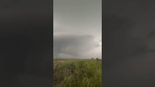 INSANE MOTHERSHIP SUPERCELL creepy tornado siren [upl. by Beare]