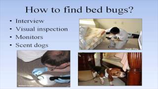 Bed Bug Training for Building Managers and Staff [upl. by Yeltihw]