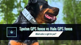 Spoton vs Halo GPS fence The Ultimate Comparison for Dog Owners [upl. by Craggie]