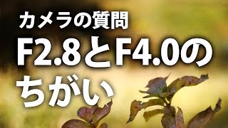 【カメラの質問】F2 8とF4 0はかなり違いますか？お答えします【写真の疑問】 [upl. by Adlihtam]