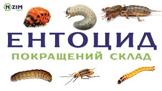 Ентоцид Метаризин  покращений склад Огляд препарату інструкція застосування [upl. by Roderick]