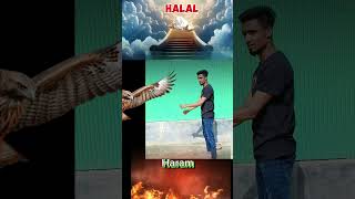 aharon aharon Islamic video shortvideo trending tiktok [upl. by Nobell498]