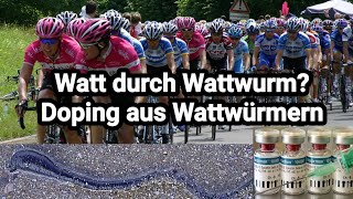 Was Wattwürmer mit Doping zu tun haben  schnell erklärt [upl. by Melamie505]