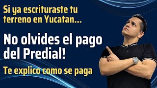 COMO PAGAR EL PREDIAL DE TU TERRENO 🏡 EN DZIDZANTUN Y SANTA CLARA 💳 [upl. by Anitnahs]