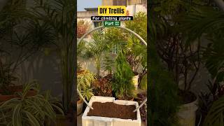 How to build a trellis for climbing plants🌿creeper vines diyideas gardening ashortaday [upl. by Annadiana]