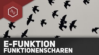 Funktionsscharen bei eFunktionen [upl. by Aimahc]