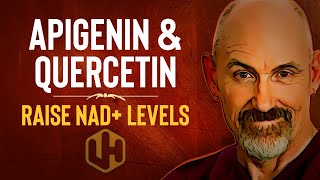 RAISE NAD WITH APIGENIN amp QUERCETIN Reduce CD38 To Boost NAD Levels 2021 [upl. by Alwitt117]