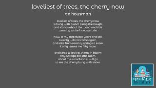 ae housman  loveliest of trees the cherry now [upl. by Lamag57]