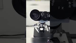 Pauder ko dekhne par microscope amazingfacts science factsinhindi knowledge facts lifescience [upl. by Lenz193]