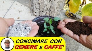 CONCIMARE CON LA CENERE E CAFFE [upl. by Ahtiekahs]