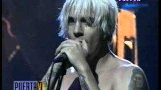 Red Hot Chili Peppers  I Could Have Lied Live in Argentina 1999 [upl. by Bounds987]