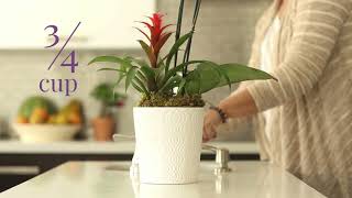 How do I water my Orchid Garden [upl. by Htedirem]