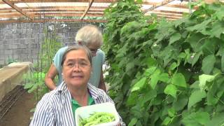 Organic Farming in the Philippines Reality TV Se 3 Ep 18 Lovers in paradise [upl. by Luna]