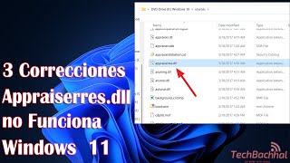 3 Correcciones Appraiserresdll no Funciona windows 11 [upl. by Zischke]