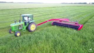 Mowerconditioner cutting alfalfa [upl. by Hoopes]