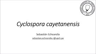 Cyclospora cayetanensis [upl. by Tuesday]