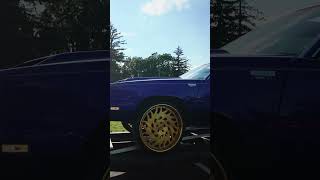 Cutlass on all gold rucciforged 317 naptownwhips naptown [upl. by Inalaehon]