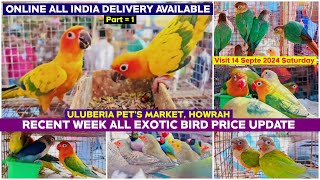 Uluberia Pets Market  Recent Week All Exotic Bird Price Update  14092024  Uluberia Bird Market [upl. by Vivle385]