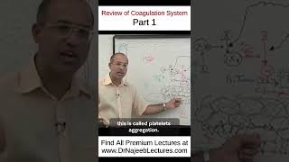 Review Of Coagulation System Part 1 drnajeeb drnajeeblectures shortvideo youtubeshorts [upl. by Aivun340]