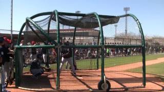 2017 Tigers Spring Training  Justin Upton Batting Practice [upl. by Elizabet]