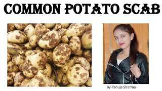 Common potato scab Streptomyces scabiesBest and easy way to learn all its symptomscyclecontrol [upl. by Ennaesor]