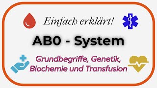 Blutgruppen Das AB0  ABO  System  Einfach erklärt [upl. by Ari]