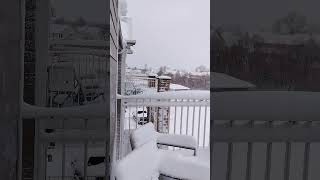 snow ❄️🌨️ storms in IOWA State in USA see with Niharika in USA [upl. by Margarethe]