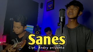 TWENTYNINE  SANES COVER [upl. by Ameer]