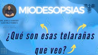 ¿Qué son laa Miodesopsias o moscas flotantes  ¿Cómo se ven las Miodesopsias [upl. by Margreta]