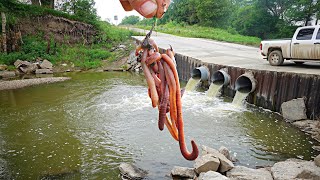 What Lives In This UNDER THE ROAD SPILLWAY Unexpected Results [upl. by Ilana]