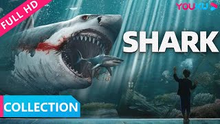 【巨鲨之夺命鲨滩amp血鲨1 Shark Collection】嗜血巨鲨惊悚来袭，看美女如何搏命逃脱鲨口！ 惊悚灾难  YOUKU MOVIE  优酷电影 [upl. by Aramanta687]