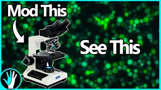 Fluorescent microscopes are amazing [upl. by Auqinot737]