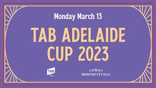 2023 Adelaide Cup [upl. by Ociredef41]