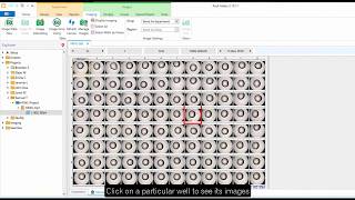 ROCK MAKER® Crystallization Software  Viewing and Scoring Drops [upl. by Morgen165]