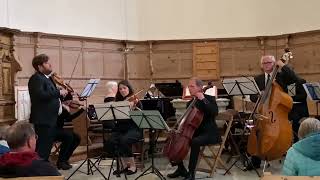 Die Camerata Pontresina spielt Musik aus «Der Pate» [upl. by Kemppe]