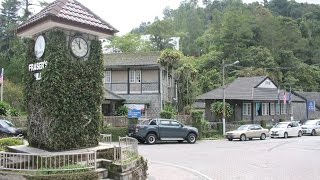 Family Camping survival in Fraser Hill Malaysia  1st time Wild Camping  Tempat Sunyi Takde Orang [upl. by Lennod]