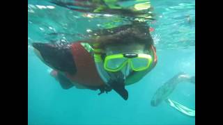 Bali Snorkeling Tour Tanjung Benoa Nusa Dua HD [upl. by Libys]