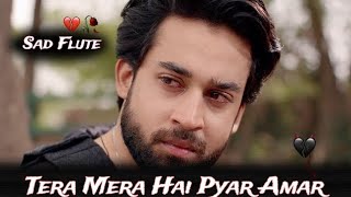 Tera mera hai pyar amar lyrics  Ishq Murshid OST  Lyrics  Bilal Abbas  Singer Ahmed Jahanzeb [upl. by Irahk579]