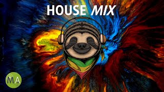 Upbeat Study Music House Mix for Deep Focus Sloth  Isochronic Tones [upl. by Pergrim]