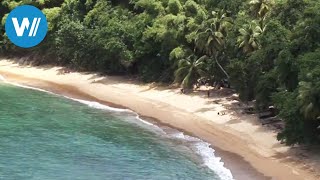 Tobago traveldocumentary from the season quotCaribbean Momentsquot [upl. by Arodnap]