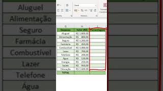 Porcentagem básica no Excel [upl. by Saoj]
