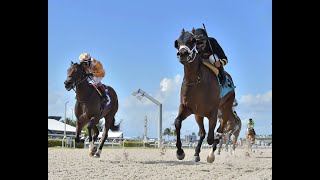 Gulfstream Park Resumen  24 de Marzo 2024 [upl. by Docilu]