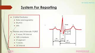 ECG Course  1 The Basics  Describing the normal ECG [upl. by Ebarta]