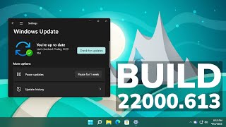 New Windows 11 Update 22000613  Memory Leaks Fixed Settings Changes and Security Improvements [upl. by Atinod973]