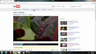 Bagaimana Cara Mengupload Video ke Youtube [upl. by Yelhak546]