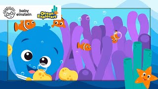 Working Together with Clown Fish Song  Ocean Explorers  Baby Einstein Toddler amp Kids Cartoons [upl. by Daley263]