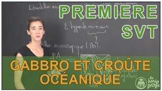 Gabbro et croûte océanique  SVT  1ère  Les Bons Profs [upl. by Ailasor402]